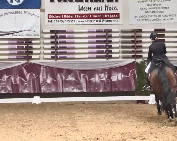 Dressurturnier Eicherloh - Laurent 2016