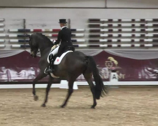 Dressurturnier Eicherloh - Laurent 2016