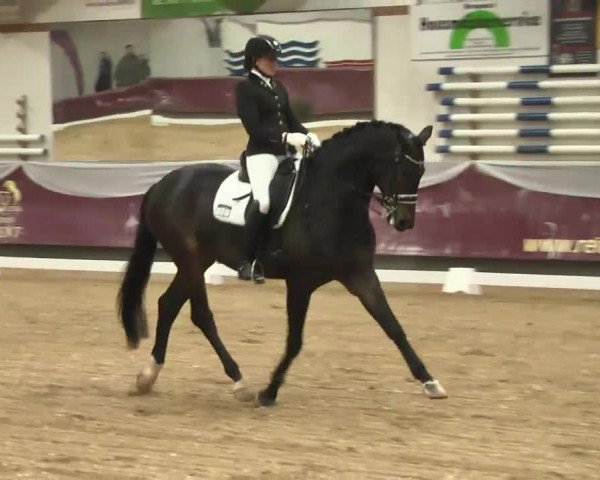 Dressurturnier Eicherloh - Laurent 2016