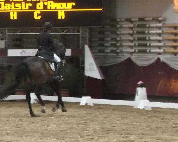 Dressurturnier Eicherloh - Laurent 2016