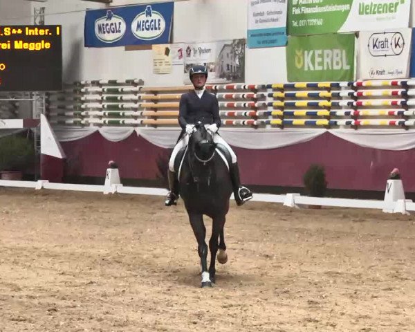 Dressurturnier Eicherloh - Laurent 2016