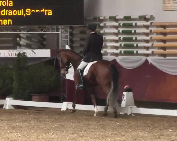 Dressurturnier Eicherloh - Laurent 2016
