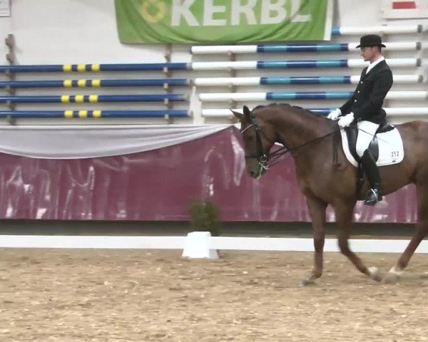Dressurturnier Eicherloh - Laurent 2016