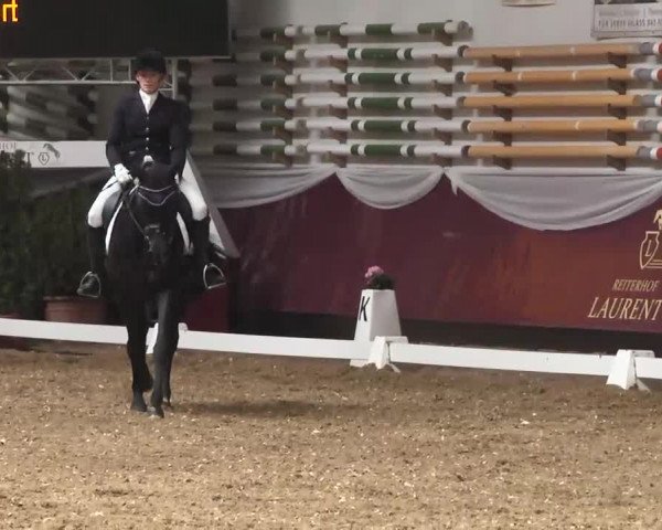 Dressurturnier Eicherloh - Laurent 2016