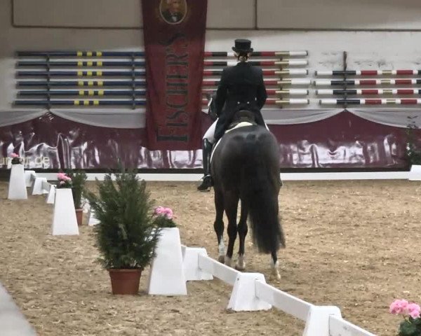 Dressurturnier Eicherloh - Laurent 2016
