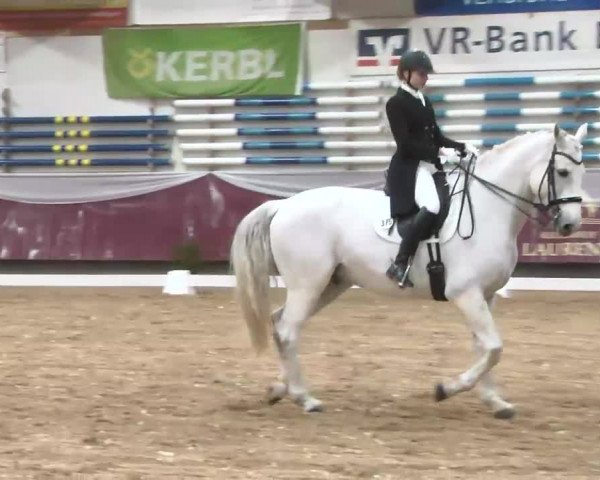 Dressurturnier Eicherloh - Laurent 2016
