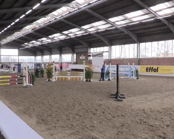 Hallenspringturnier Greven 2016
