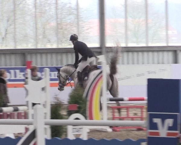Hallenspringturnier Greven 2016