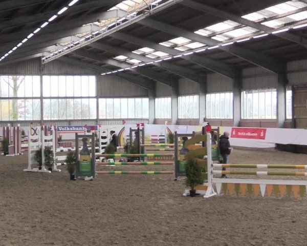 Hallenspringturnier Greven 2016
