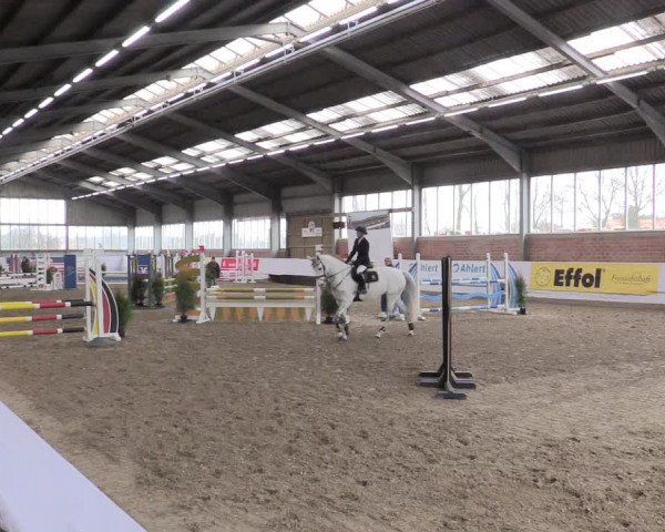 Hallenspringturnier Greven 2016