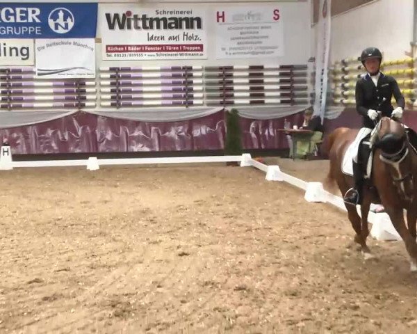 Dressurturnier Eicherloh - Laurent 2016