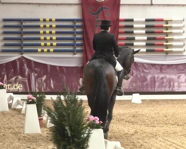 Dressurturnier Eicherloh - Laurent 2016