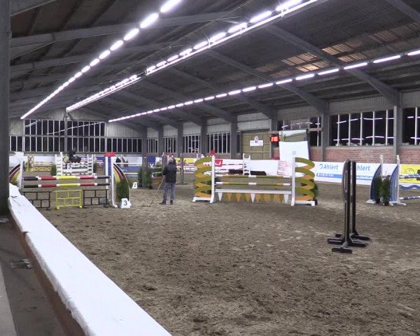 Hallenspringturnier Greven 2016