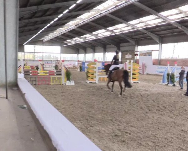 Hallenspringturnier Greven 2016