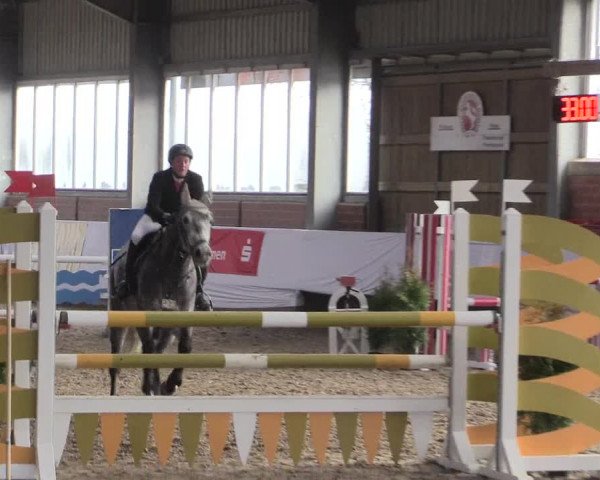 Hallenspringturnier Greven 2016