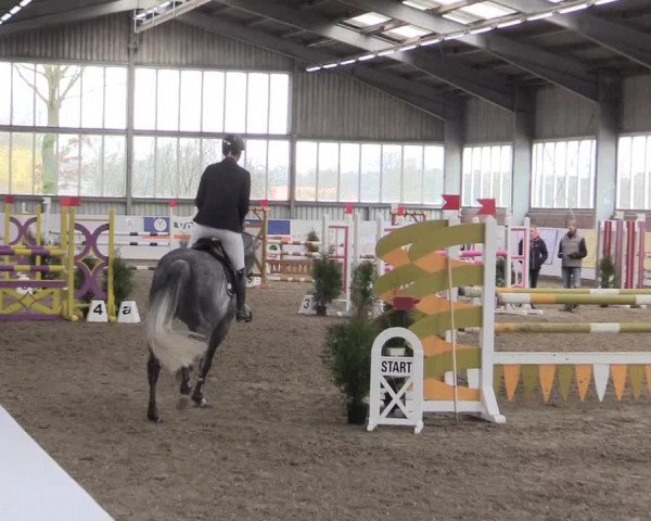 Hallenspringturnier Greven 2016