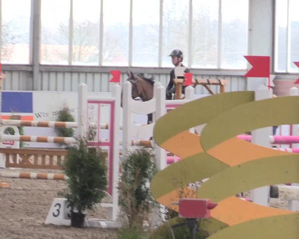 Hallenspringturnier Greven 2016
