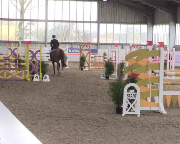 Hallenspringturnier Greven 2016