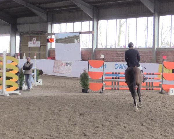 Hallenspringturnier Greven 2016