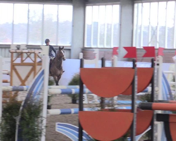 Hallenspringturnier Greven 2016