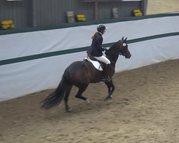 Reitturnier Monheim - Gut Blee 2016