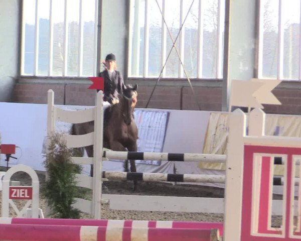 Hallenspringturnier Greven 2016
