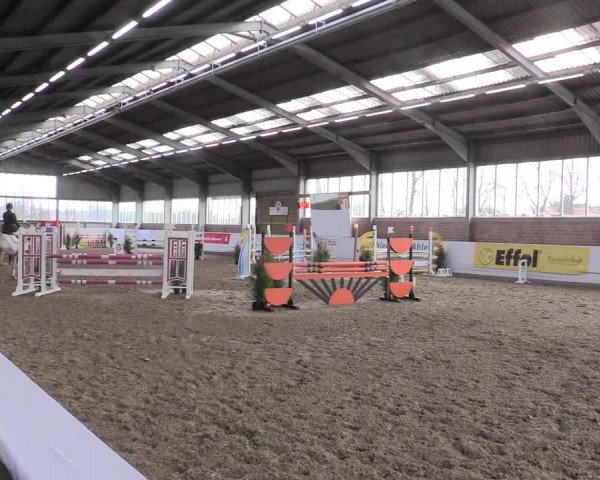 Hallenspringturnier Greven 2016