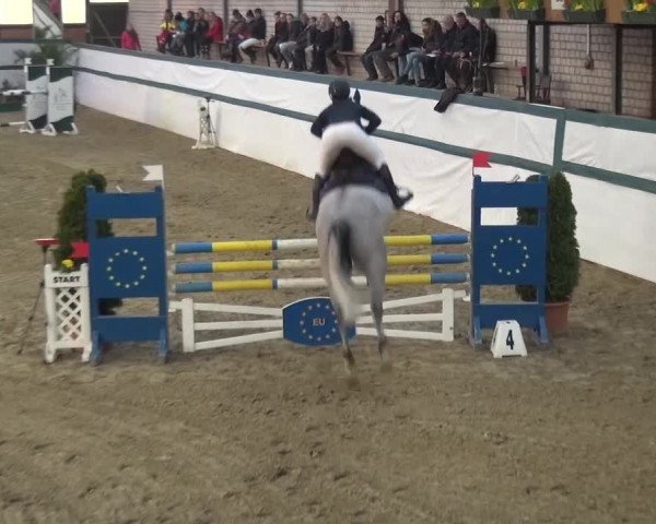 Reitturnier Monheim - Gut Blee 2016