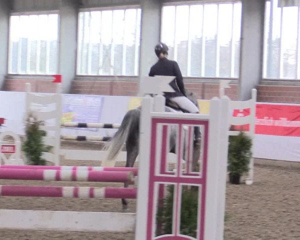 Hallenspringturnier Greven 2016