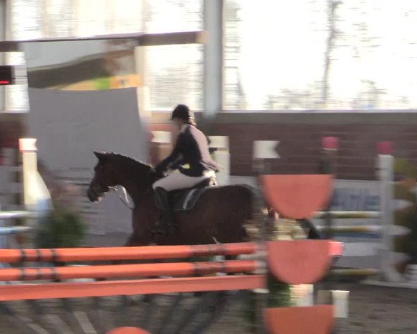 Hallenspringturnier Greven 2016