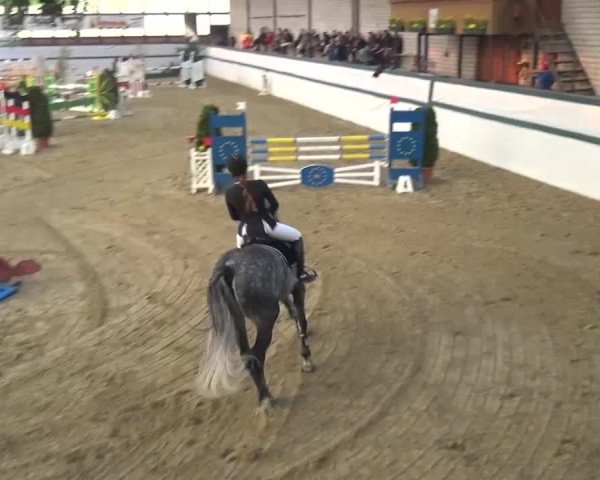 Reitturnier Monheim - Gut Blee 2016