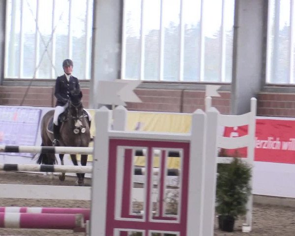 Hallenspringturnier Greven 2016