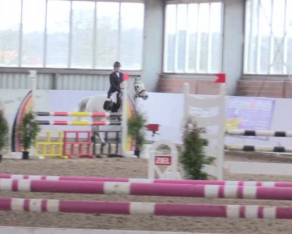 Hallenspringturnier Greven 2016