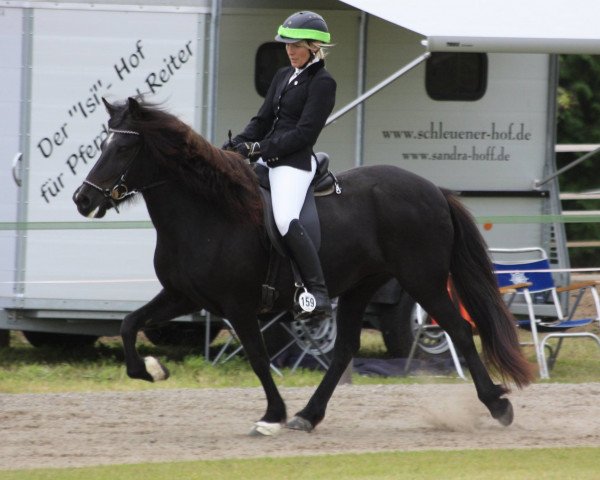 broodmare Pia vom Laekurhof (Iceland Horse, 2004, from Snabbi vom Lækurhof)