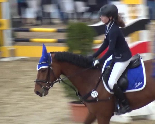 Reitturnier Monheim - Gut Blee 2016