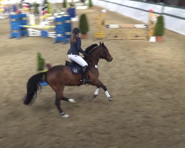 Reitturnier Monheim - Gut Blee 2016