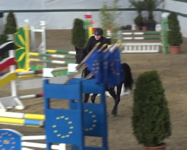 Reitturnier Monheim - Gut Blee 2016