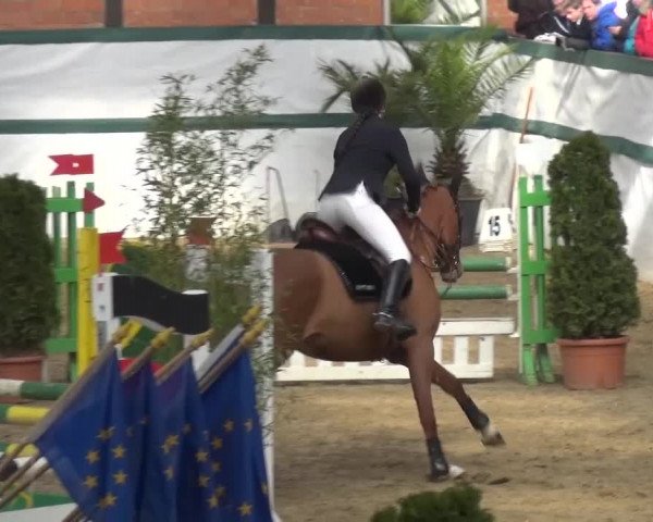Reitturnier Monheim - Gut Blee 2016