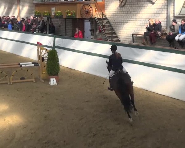 Reitturnier Monheim - Gut Blee 2016