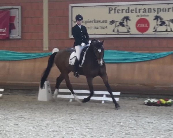 EQUIVA Dressur-Gala 2016