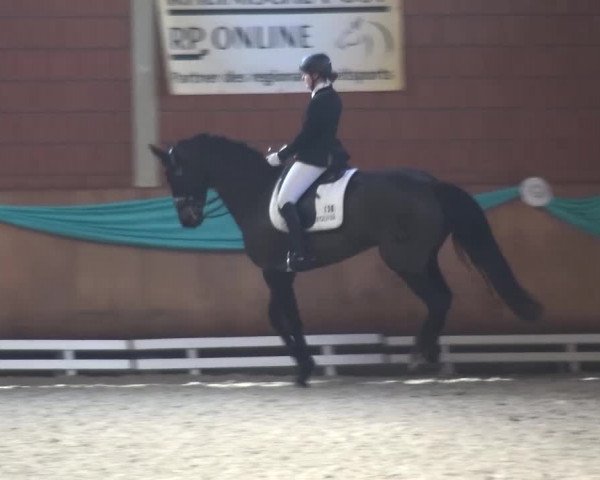 EQUIVA Dressur-Gala 2016