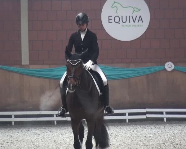 EQUIVA Dressur-Gala 2016