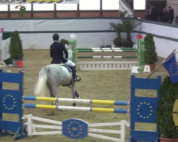 Reitturnier Monheim - Gut Blee 2016