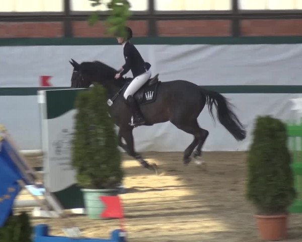 Reitturnier Monheim - Gut Blee 2016