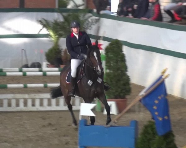 Reitturnier Monheim - Gut Blee 2016