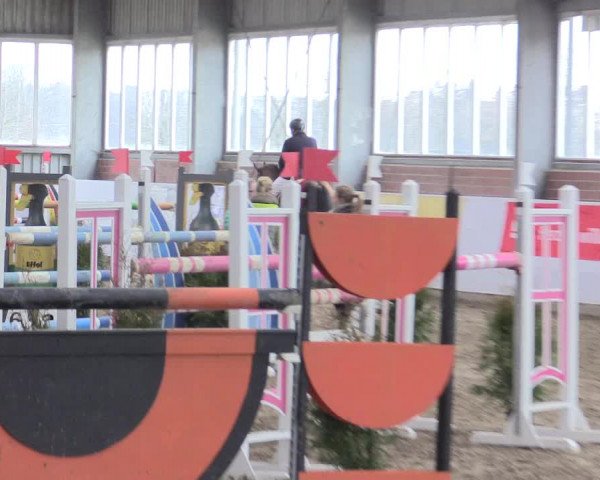 Hallenspringturnier Greven 2016