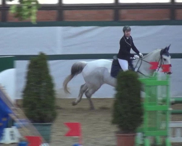 Equestrian Show Monheim - Gut Blee 2016