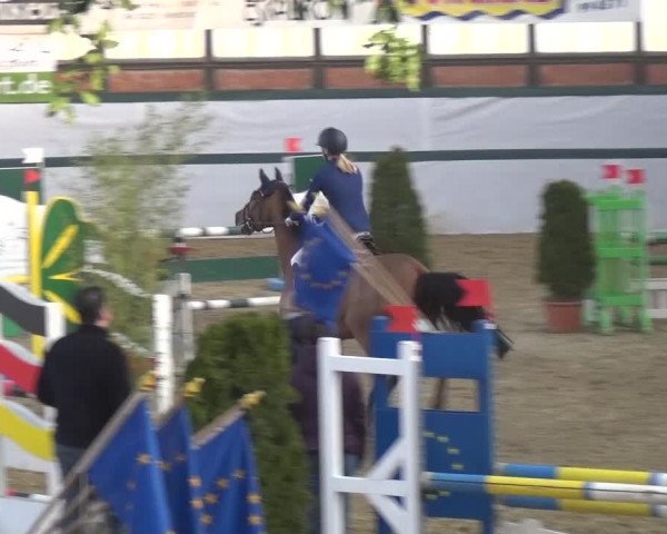 Reitturnier Monheim - Gut Blee 2016