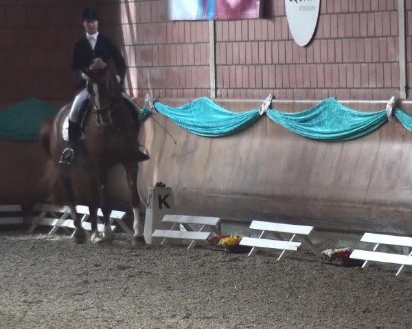 EQUIVA Dressur-Gala 2016