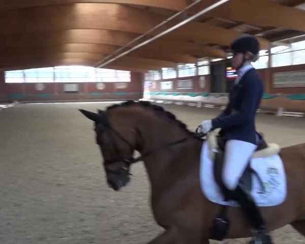 EQUIVA Dressur-Gala 2016